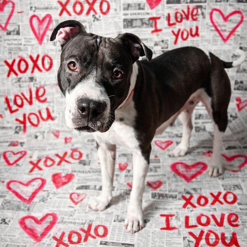 Harlen Franny Best-Friend Energy and Hocus Pocus Magic — thumbnail 5