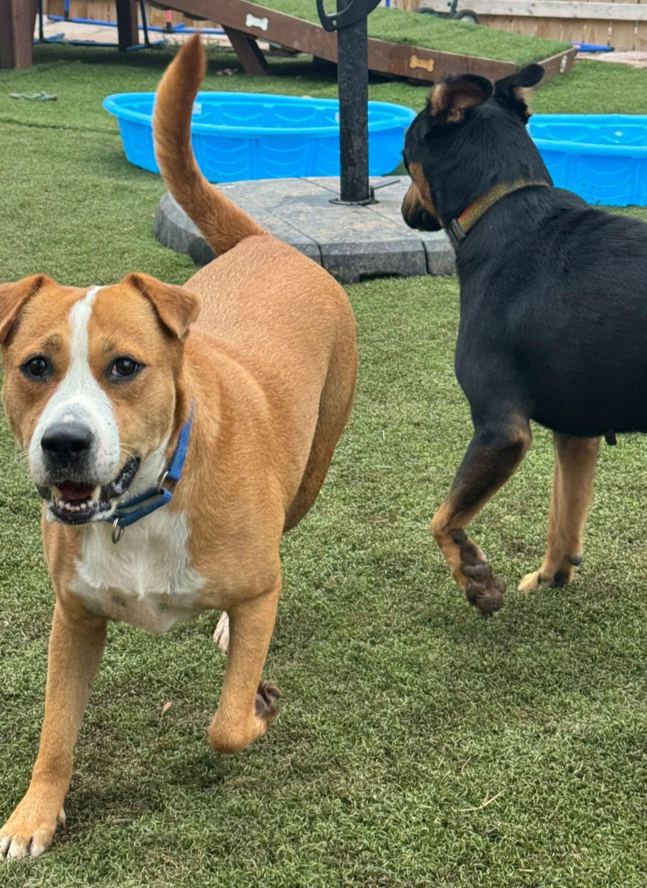 Ashlynn — thumbnail 3