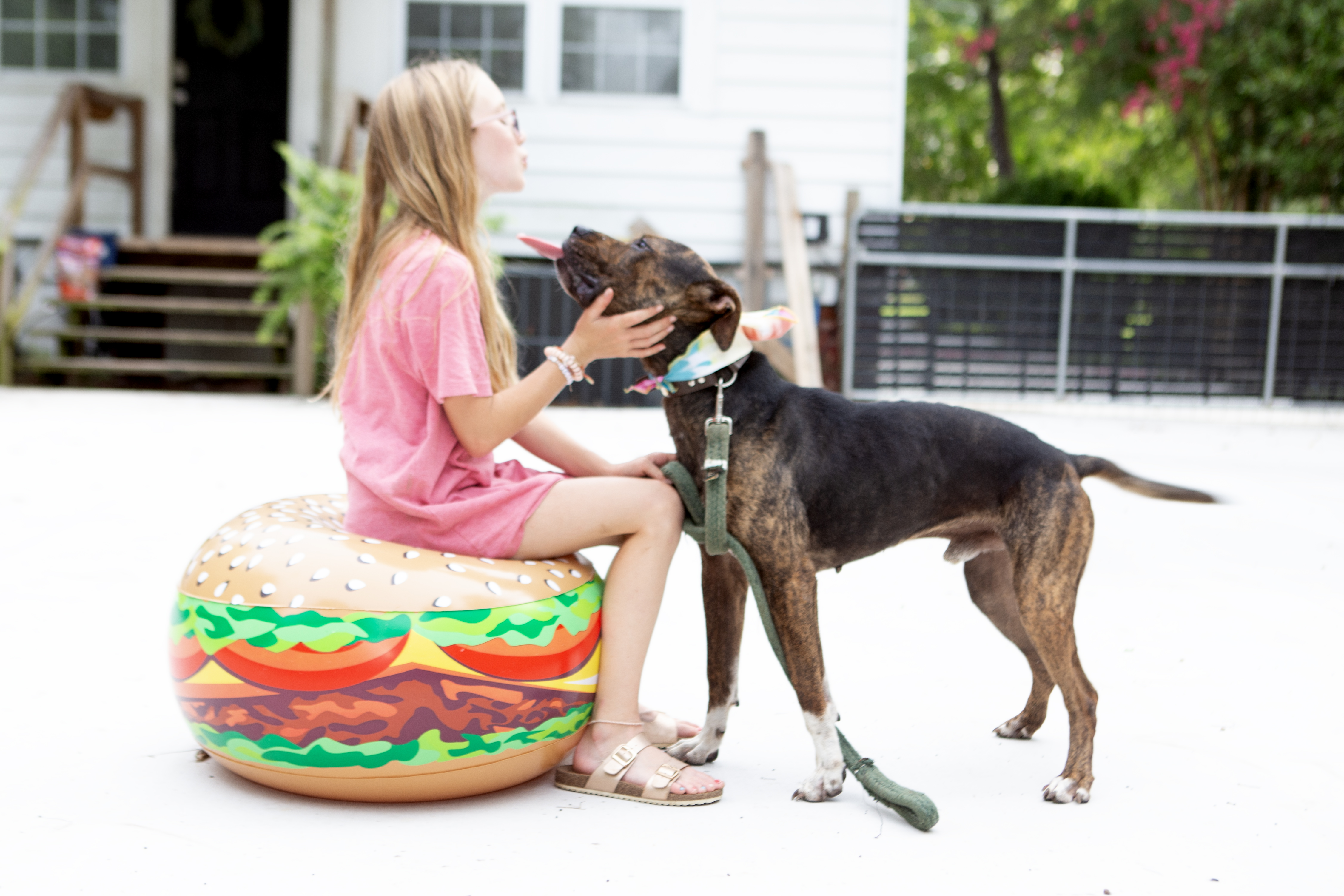 Brooks, a Adoptable mixed breed in Elloree, SC image 2/5