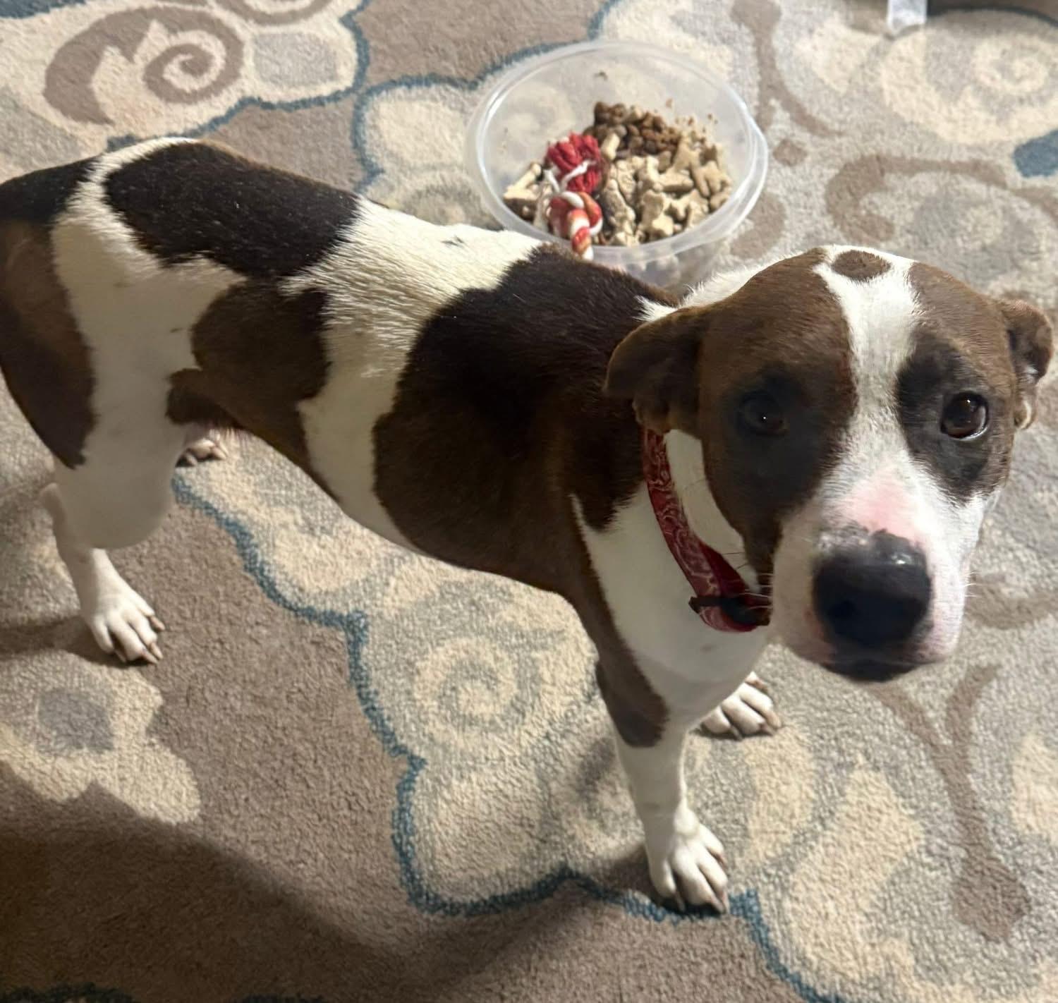 BAYLI - Sponsored Fee!!