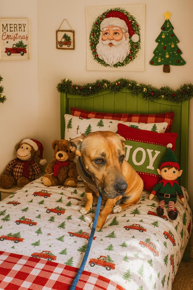 Buttercup thumbnail 3