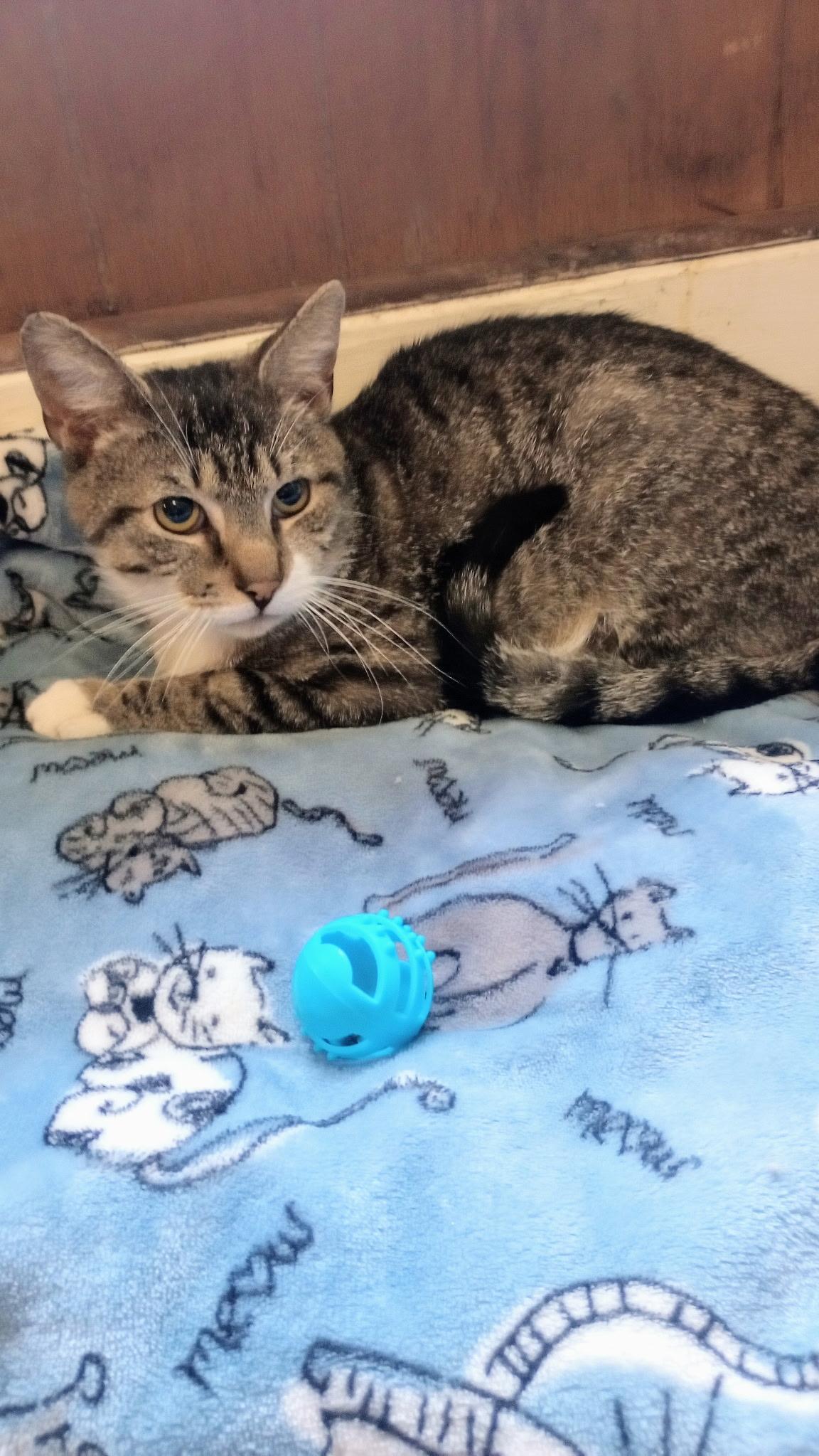 Bobby