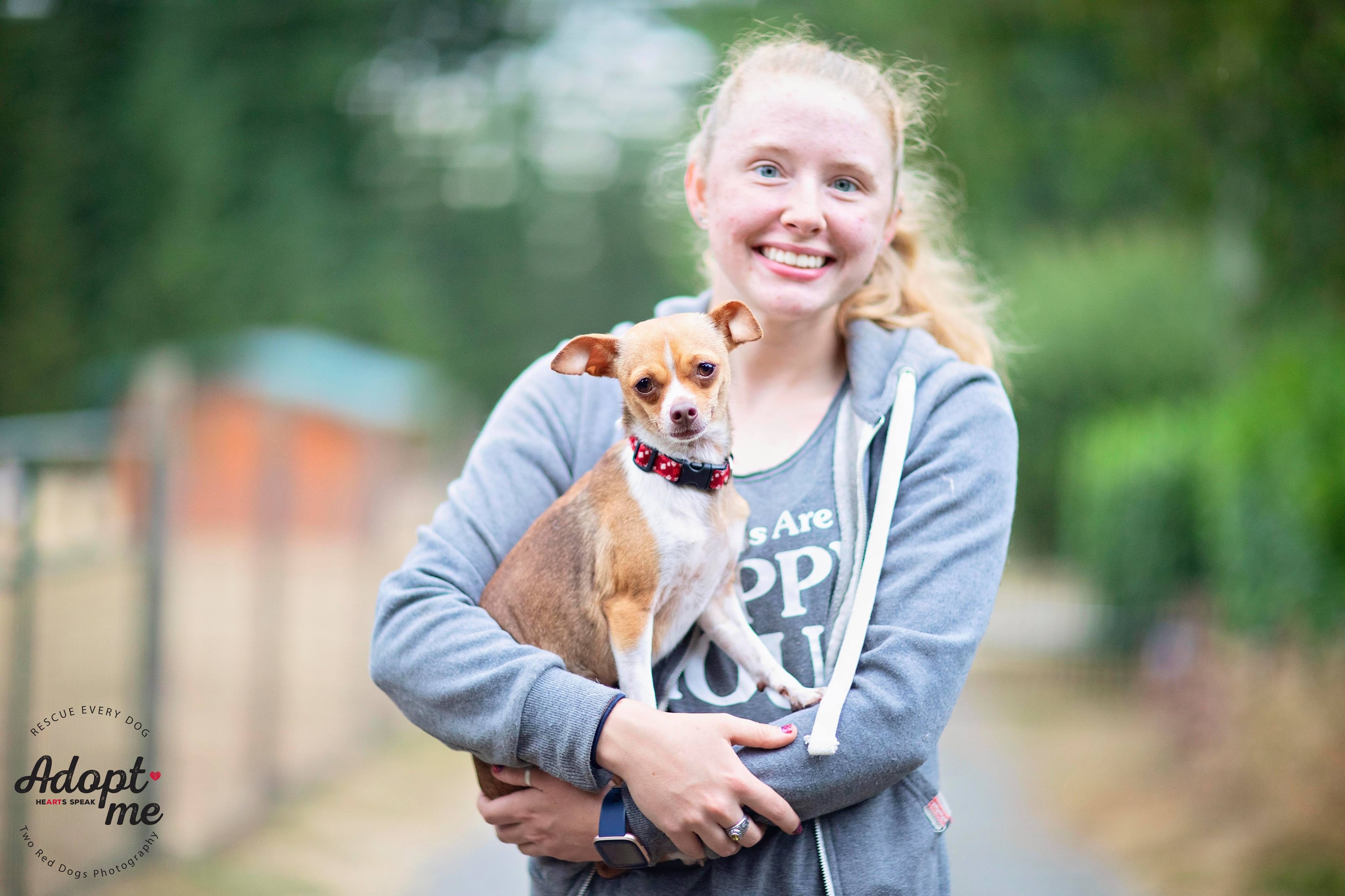 Penny, a Adoptable mixed breed in Seattle, WA image 3/4