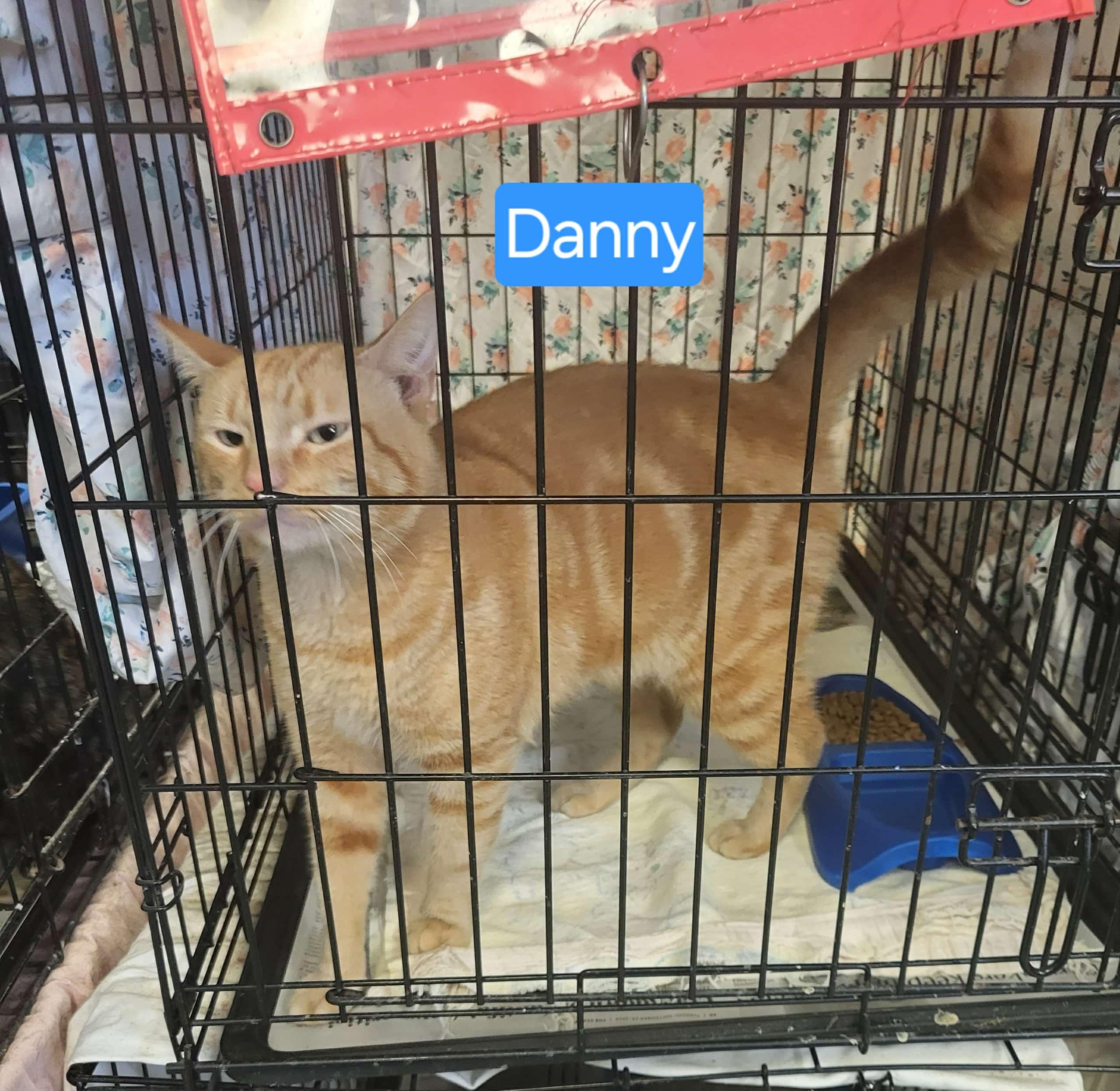 Danny