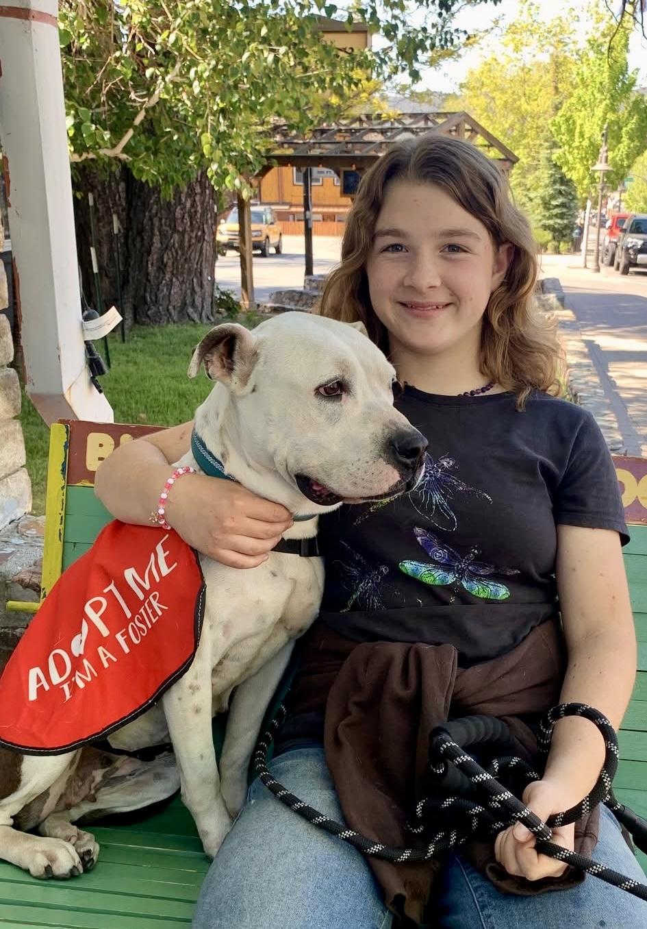 Enlarge Tinkerbell, a Adoptable mixed breed in Torrance, CA image 1/6