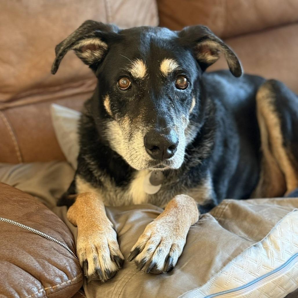 Sammy — thumbnail 2