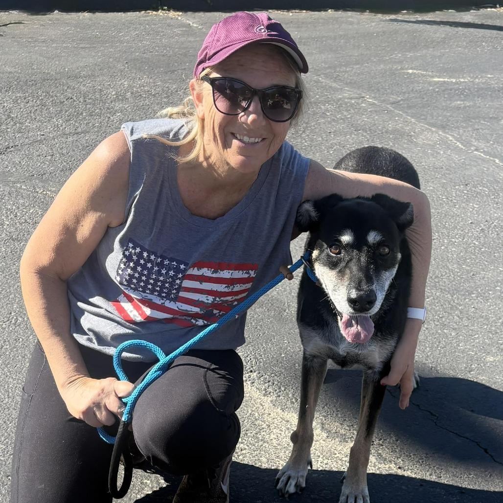 Sammy — thumbnail 6