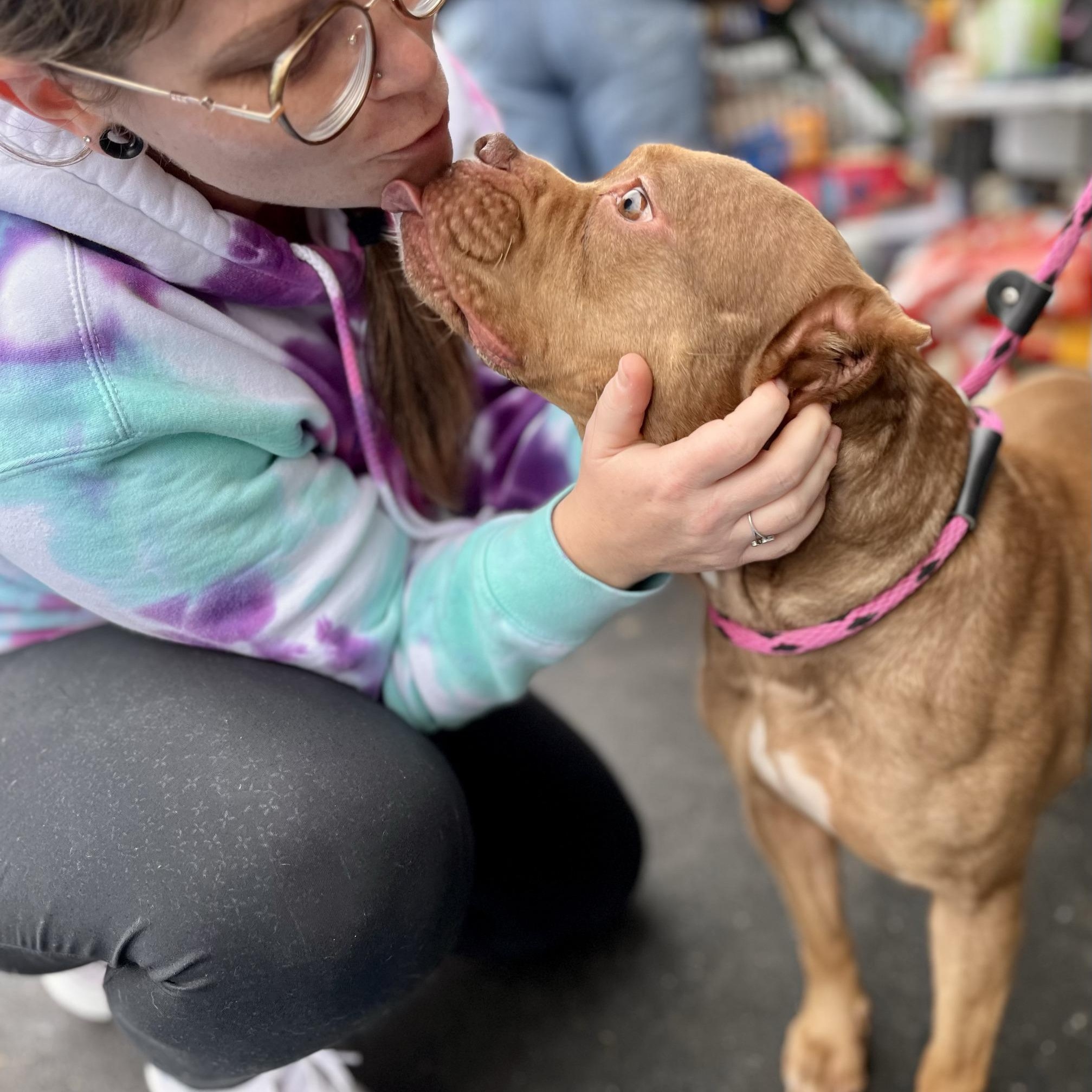 NALA- Needs a forever home! — thumbnail 6