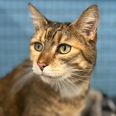 Kessie — thumbnail 3