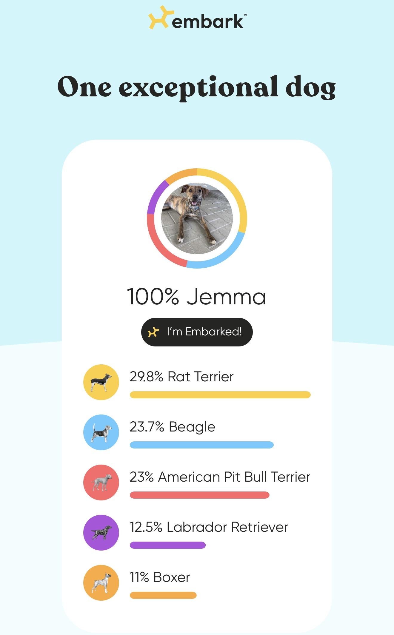 Enlarge Jemma, a Adoptable mixed breed in Jeffersonville, IN image 3/6