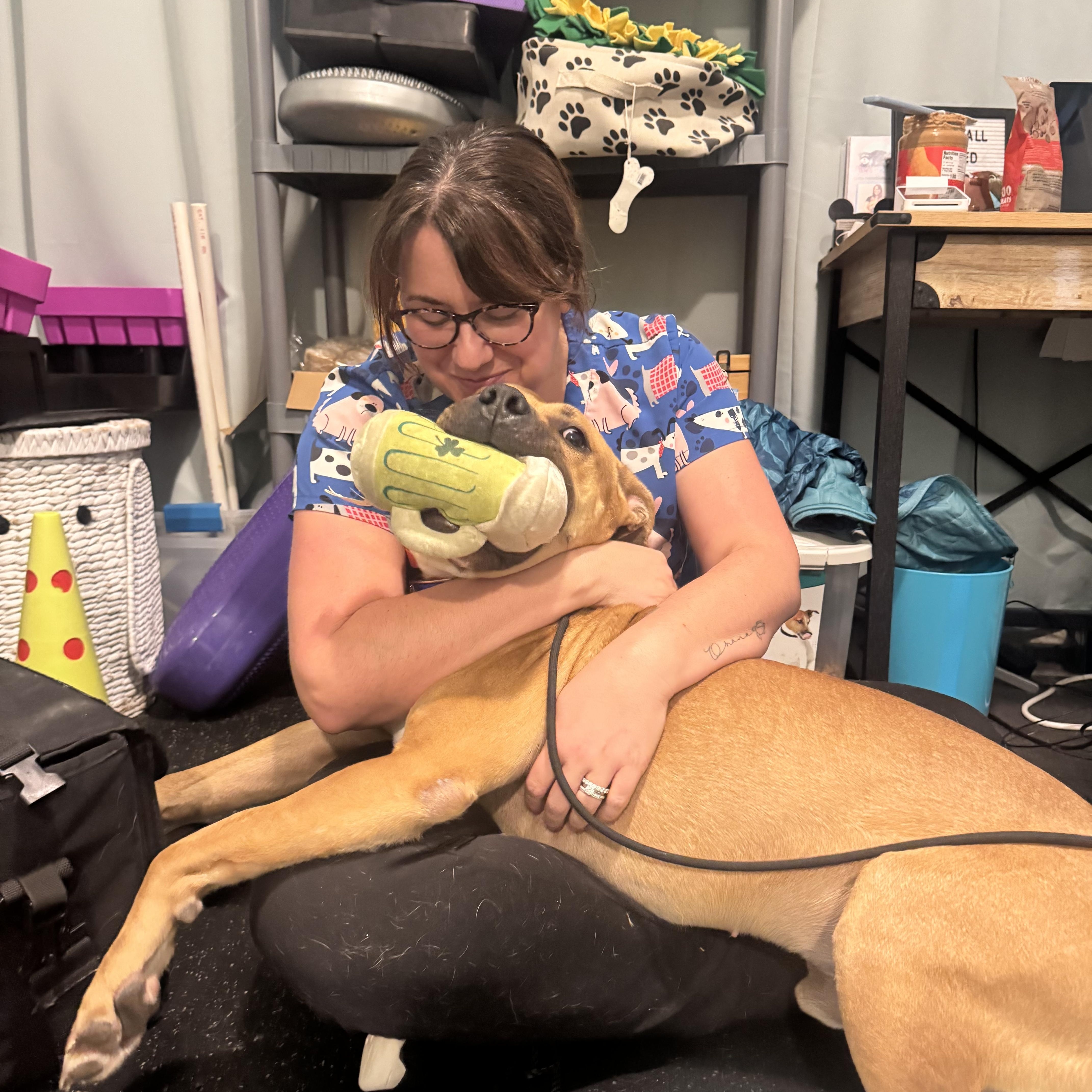 Enlarge Fritz, a ADOPTABLE mixed breed in Indianapolis, IN image 3/4