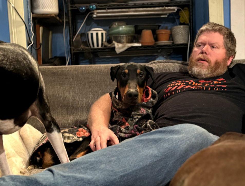 Enlarge Zephyr, a Adoptable Doberman Pinscher in Buffalo, MN image 3/3