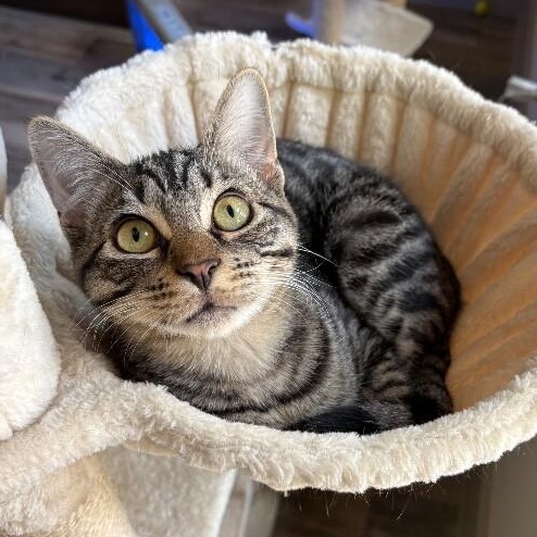 Fishbait Jerny — thumbnail 3