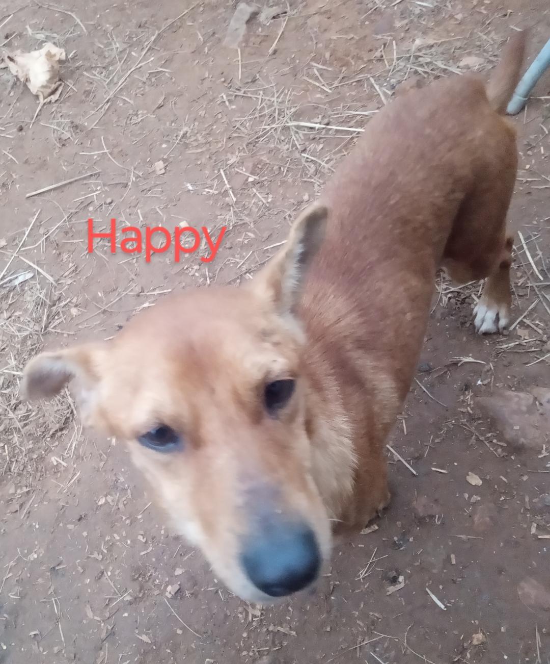 Happy photo 2