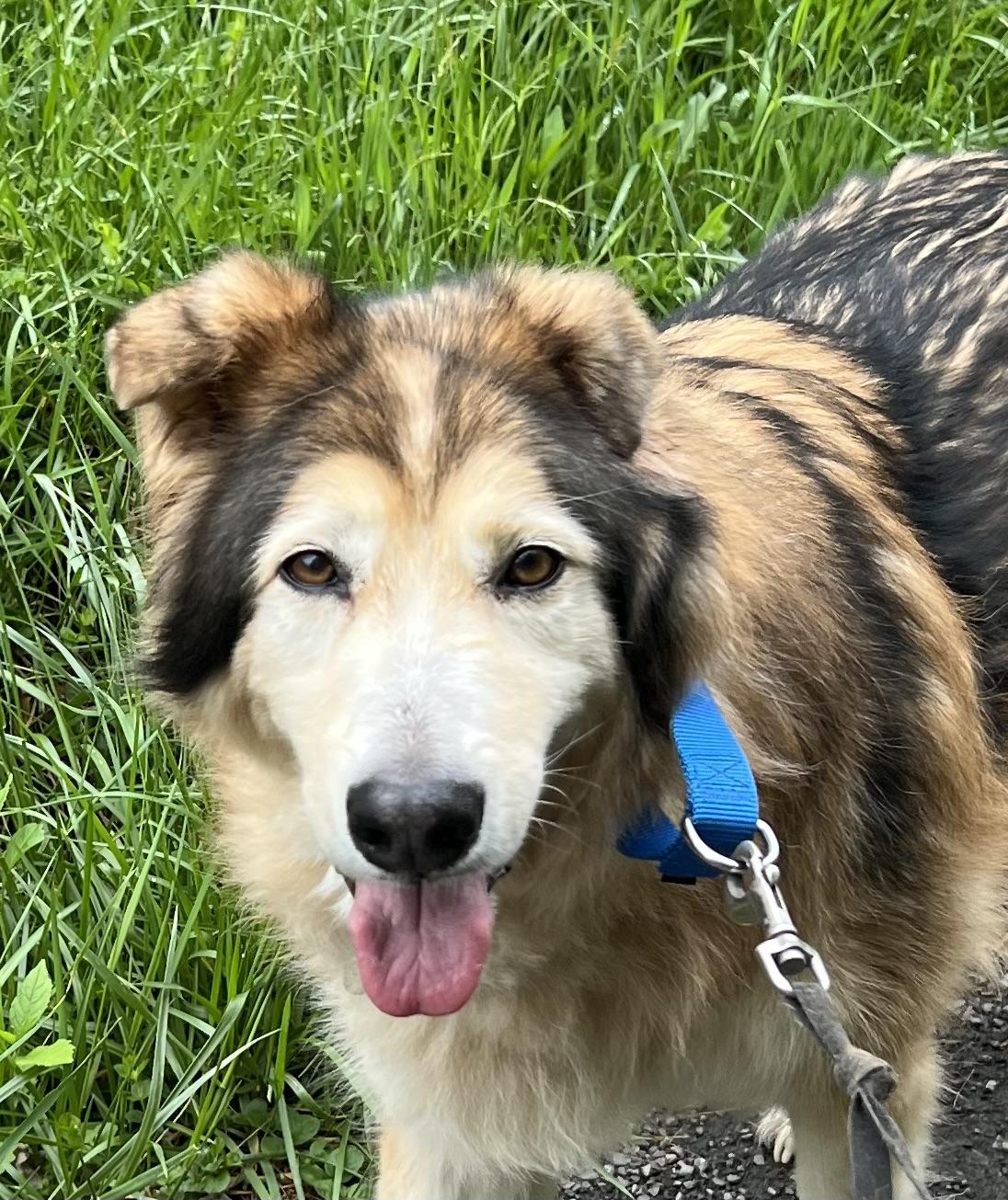 Takoda