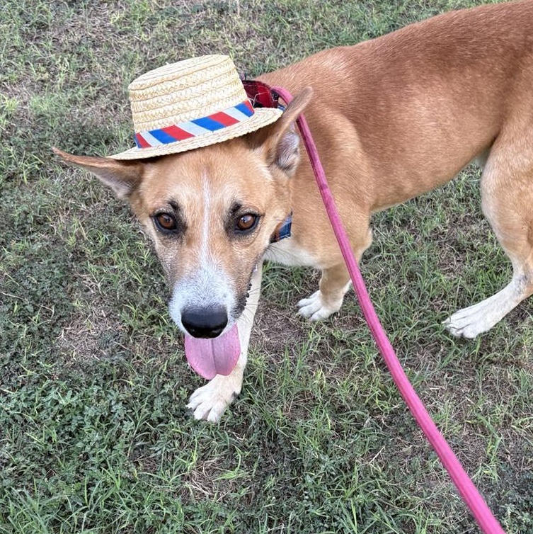 Flako — thumbnail 5