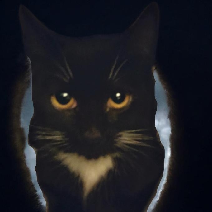 Enlarge Whiska, an adopted mixed breed in Lakeland, FL image 1/1