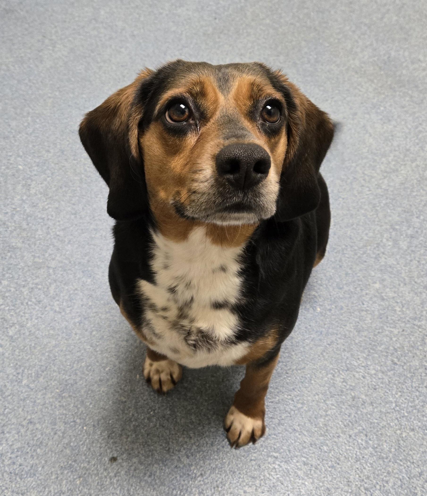 Penny — thumbnail 2