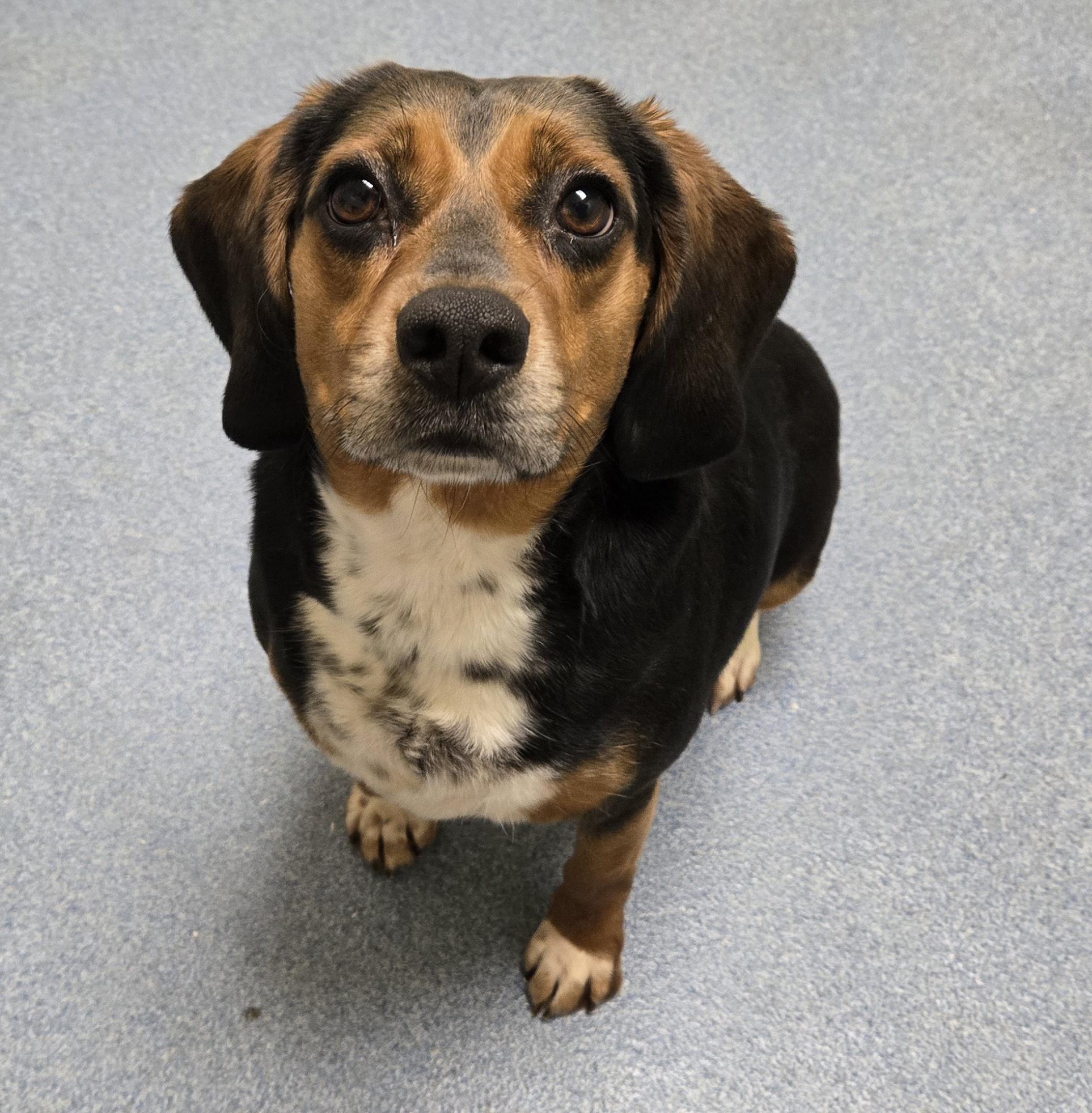 Penny — thumbnail 3