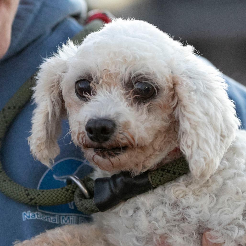 Amelia - No Fee - Hospice