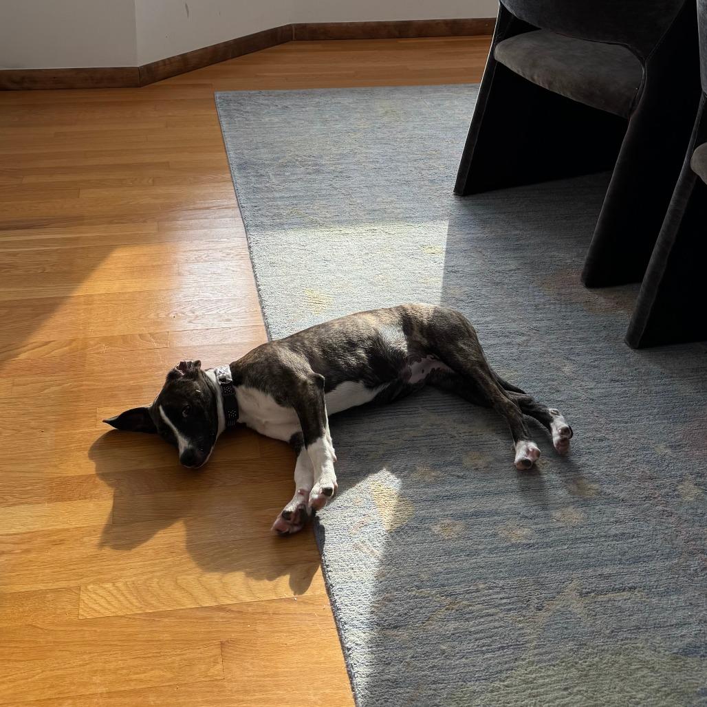 Marion D thumbnail 2