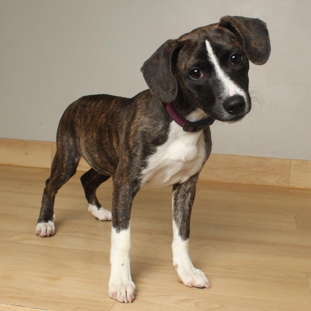 Marion D thumbnail 4