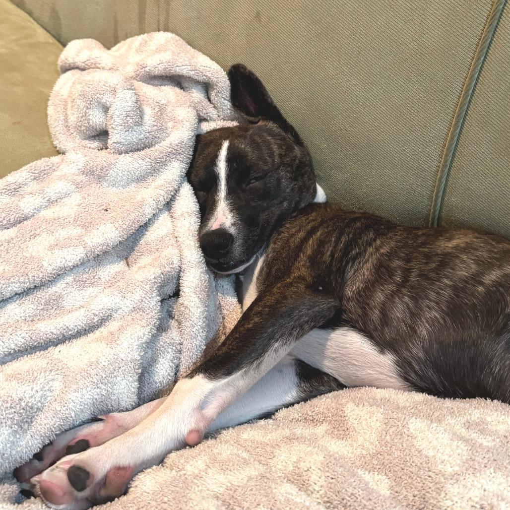 Marion D thumbnail 5