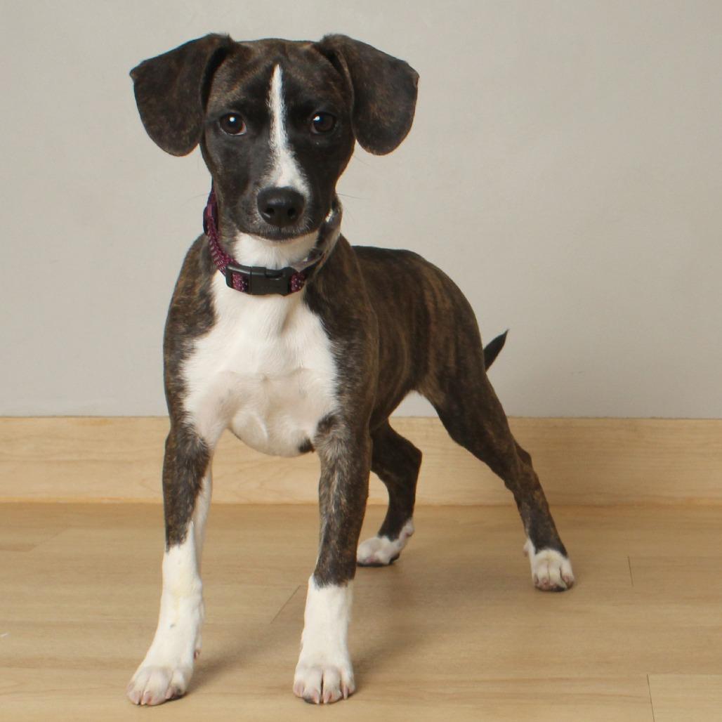 Marion D thumbnail 7