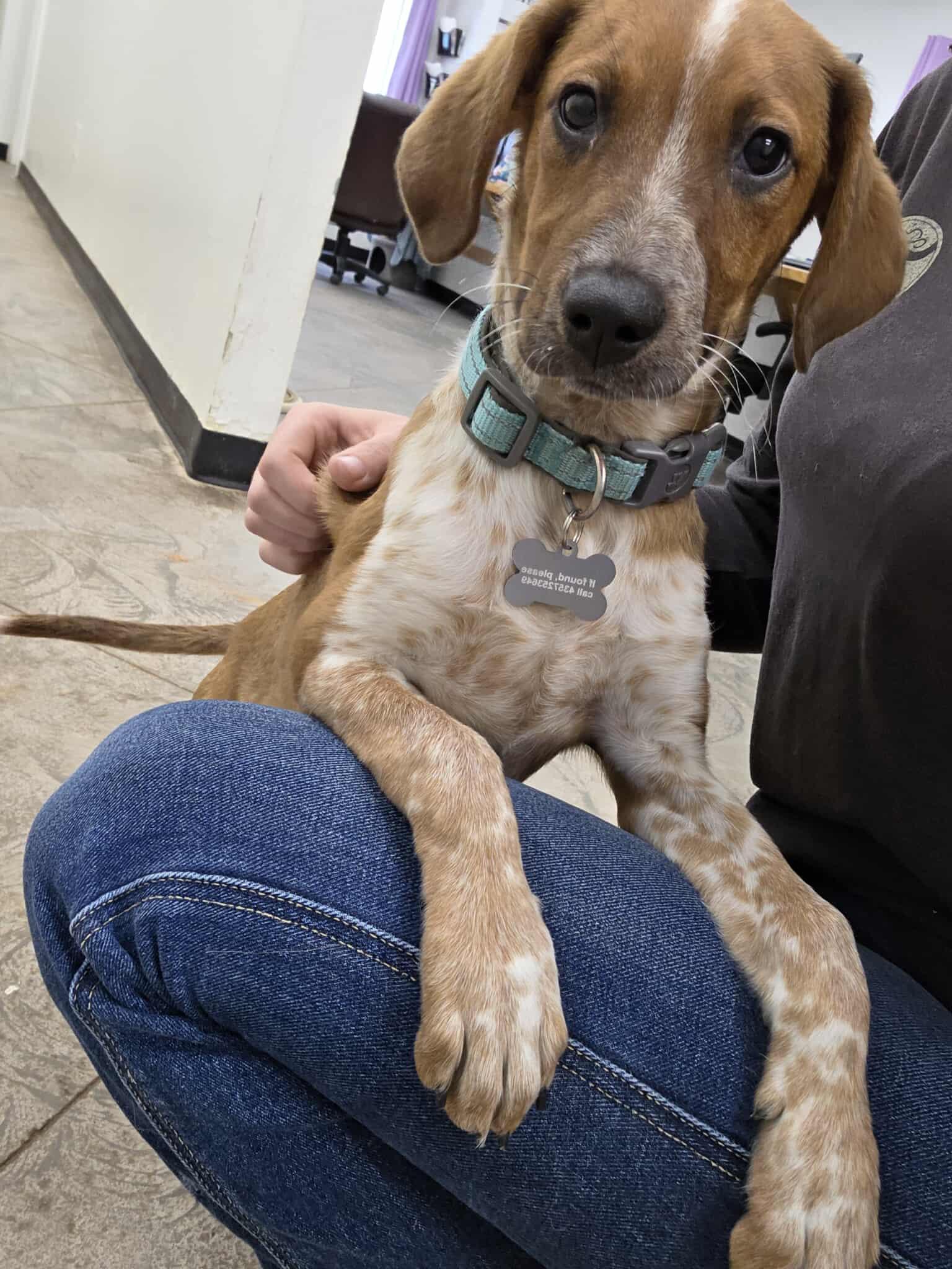 Jessie Mae
