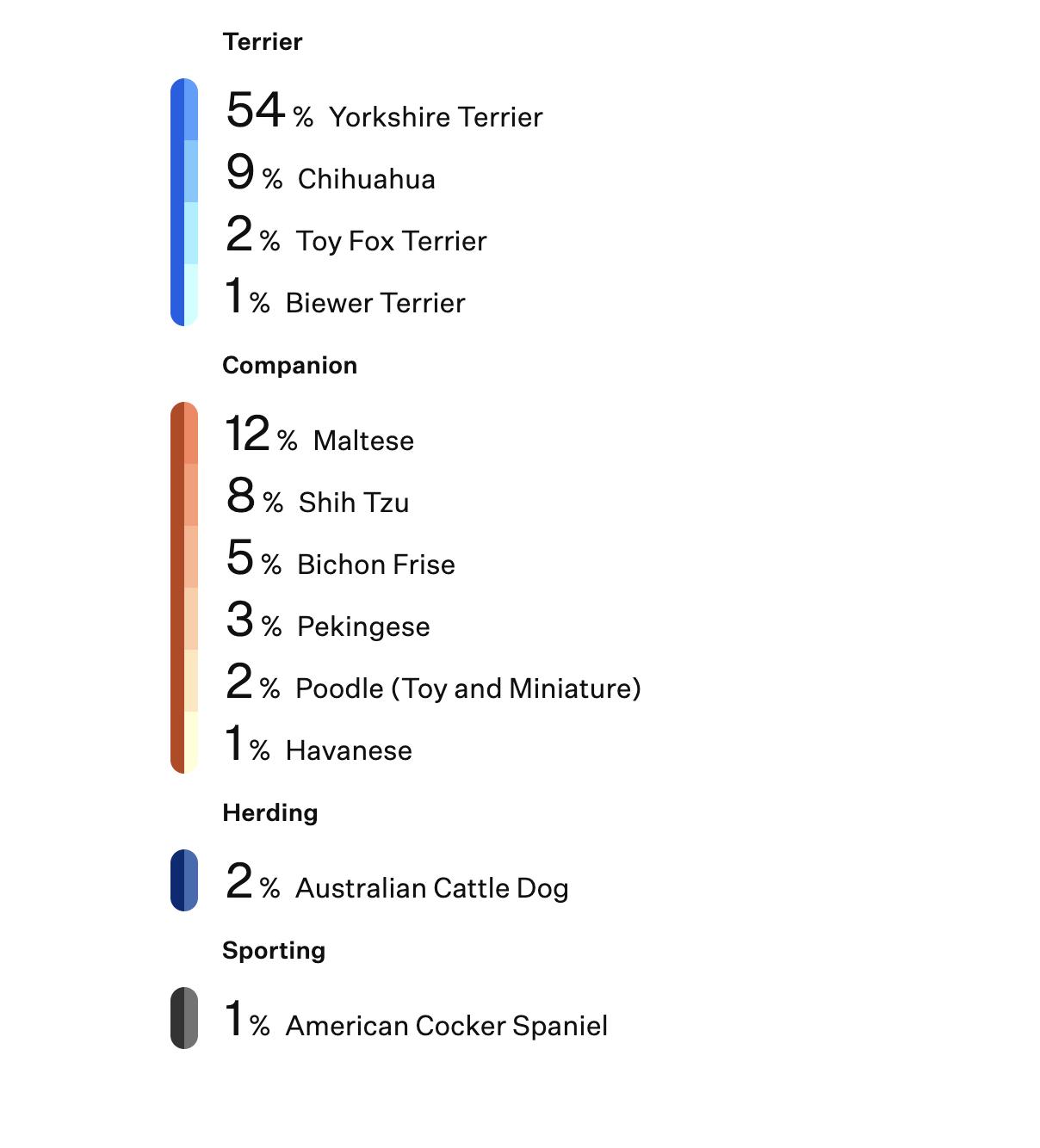 Enlarge Bojangles, a Adopted mixed breed in Norwalk, CT image 4/5