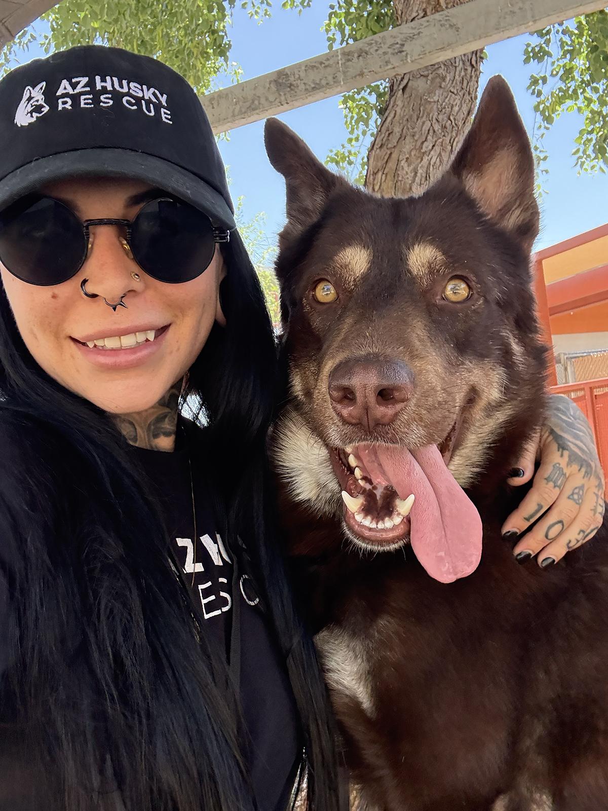 Tae, a Adoptable mixed breed in Scottsdale, AZ image 6/6