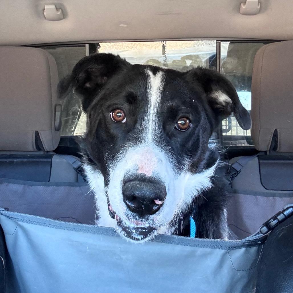 Frankfort — thumbnail 2