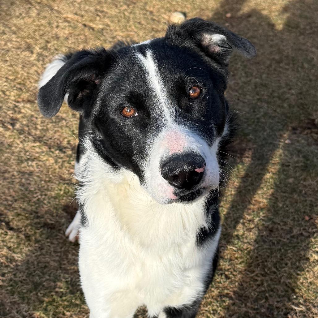 Frankfort — thumbnail 4