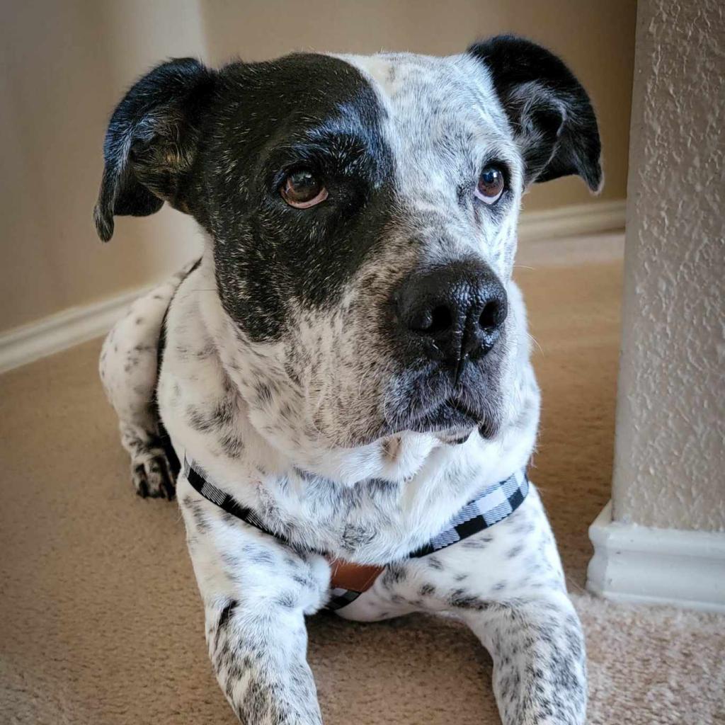 McDaddy JuM — thumbnail 5