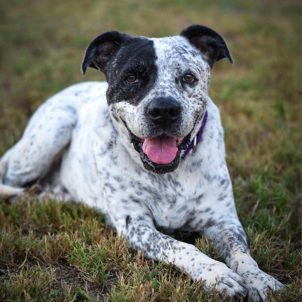 McDaddy JuM — thumbnail 6