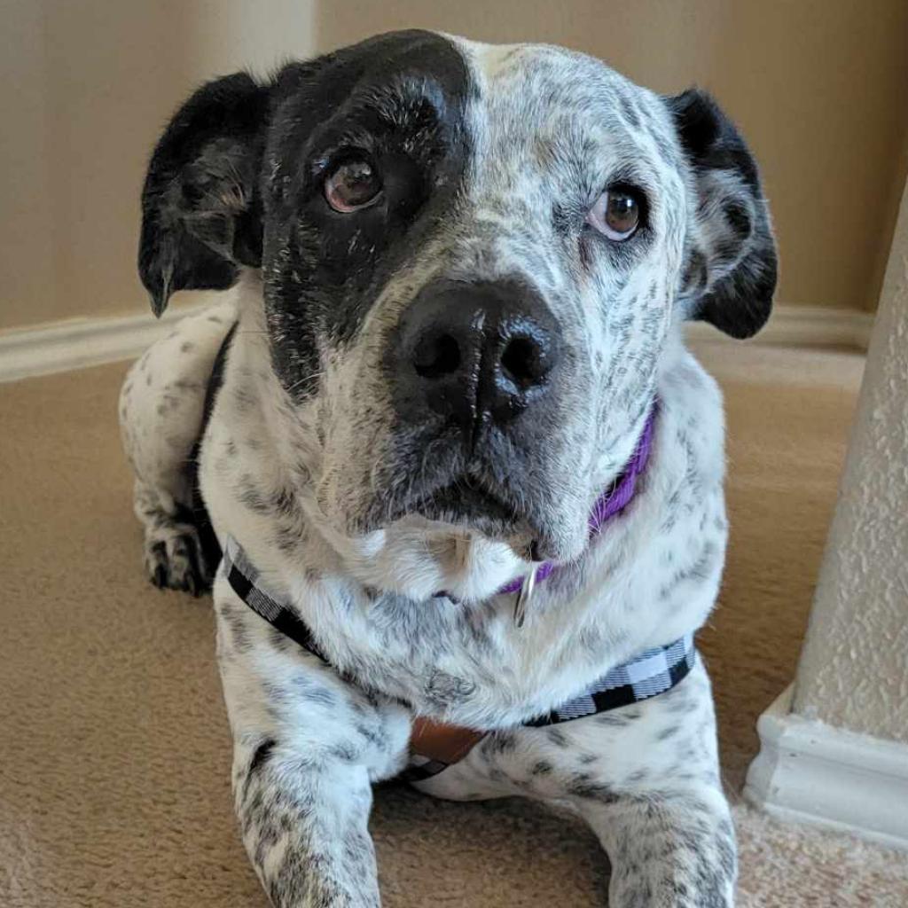 McDaddy JuM — thumbnail 7