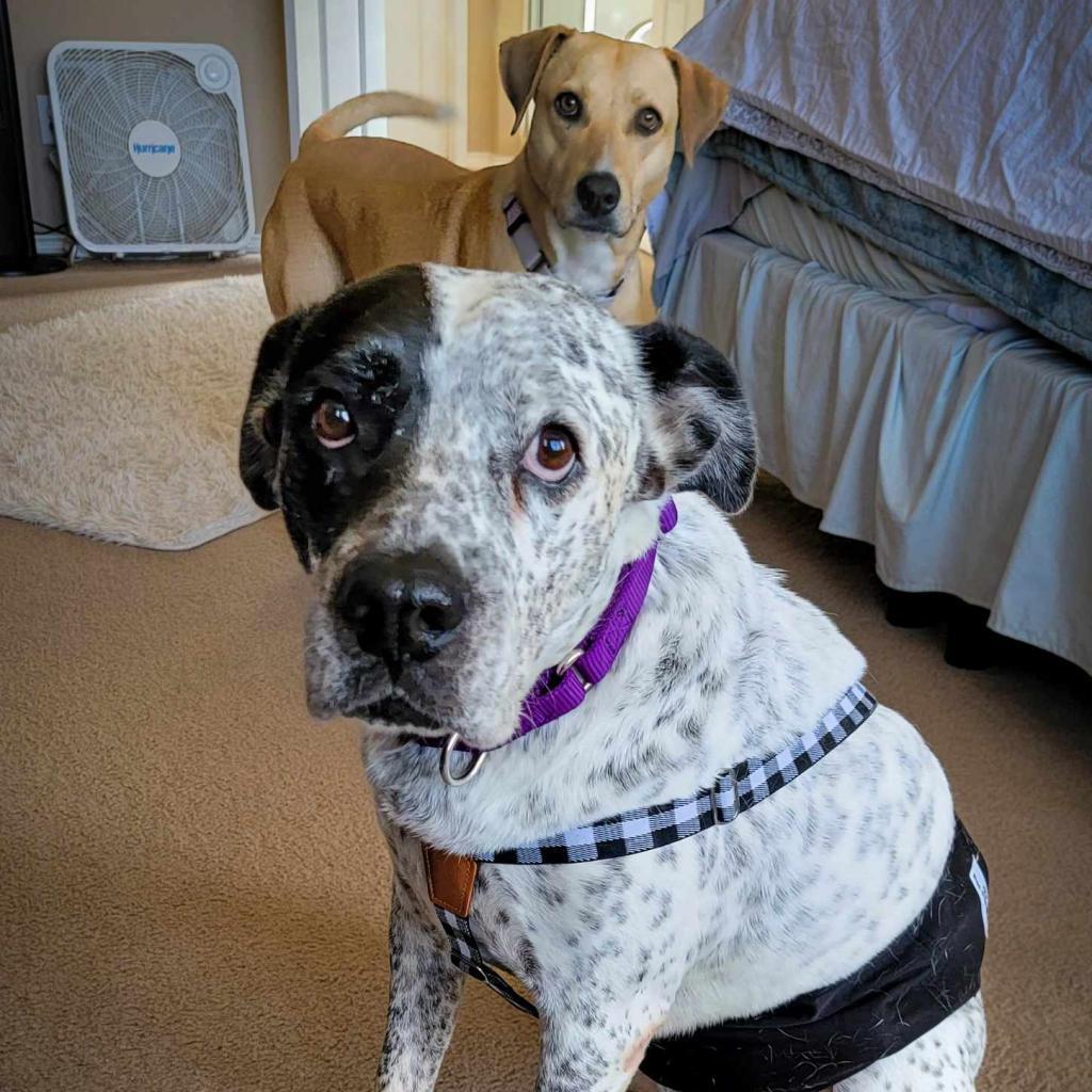 McDaddy JuM — thumbnail 10