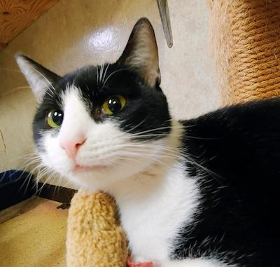 Andy — thumbnail 2