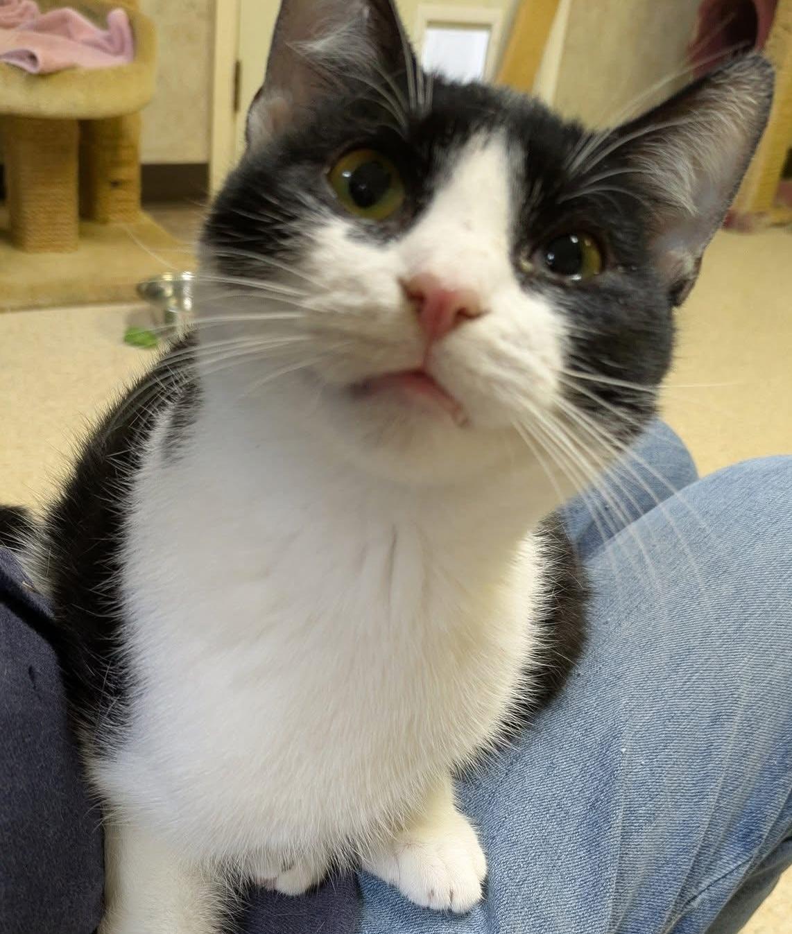 Andy — thumbnail 3