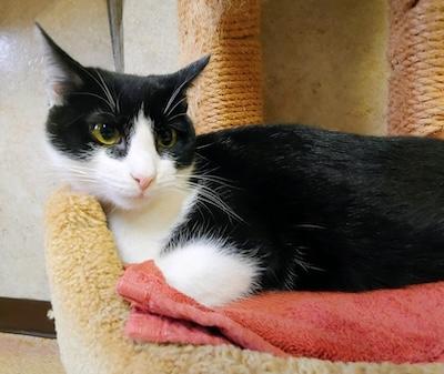 Andy — thumbnail 4