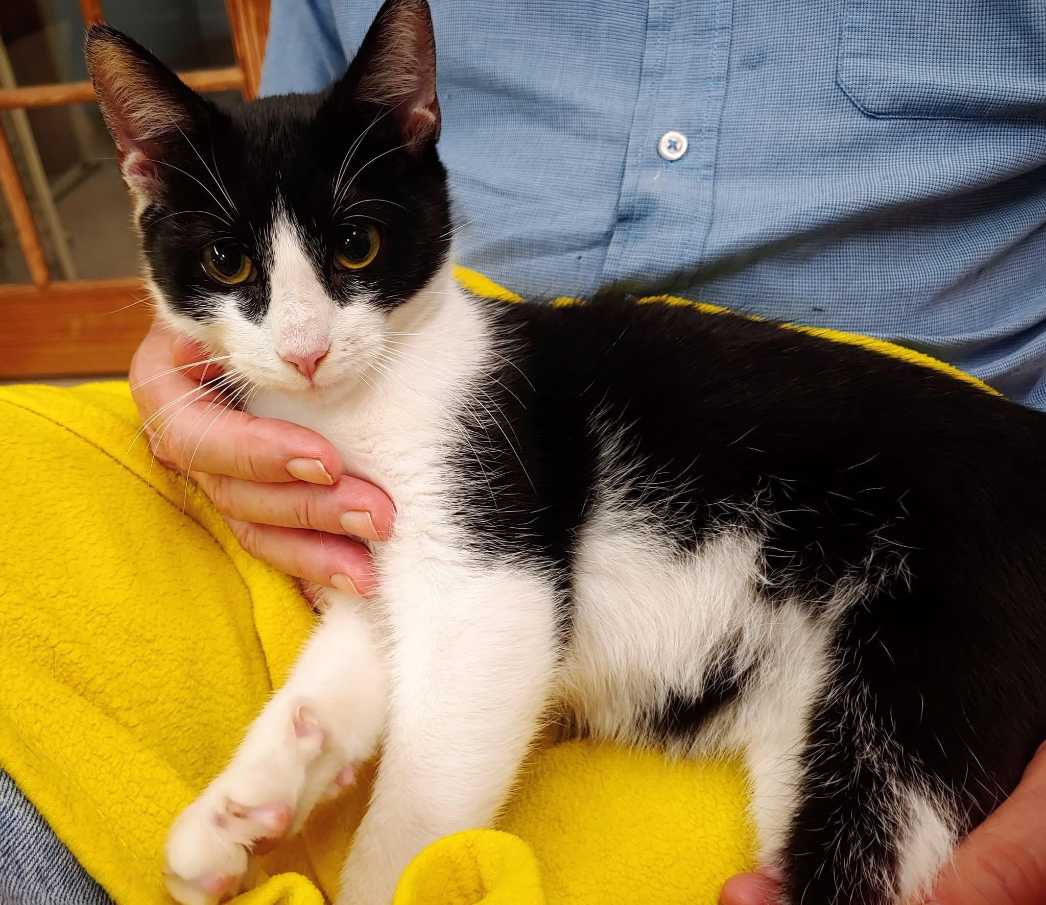 Andy — thumbnail 5