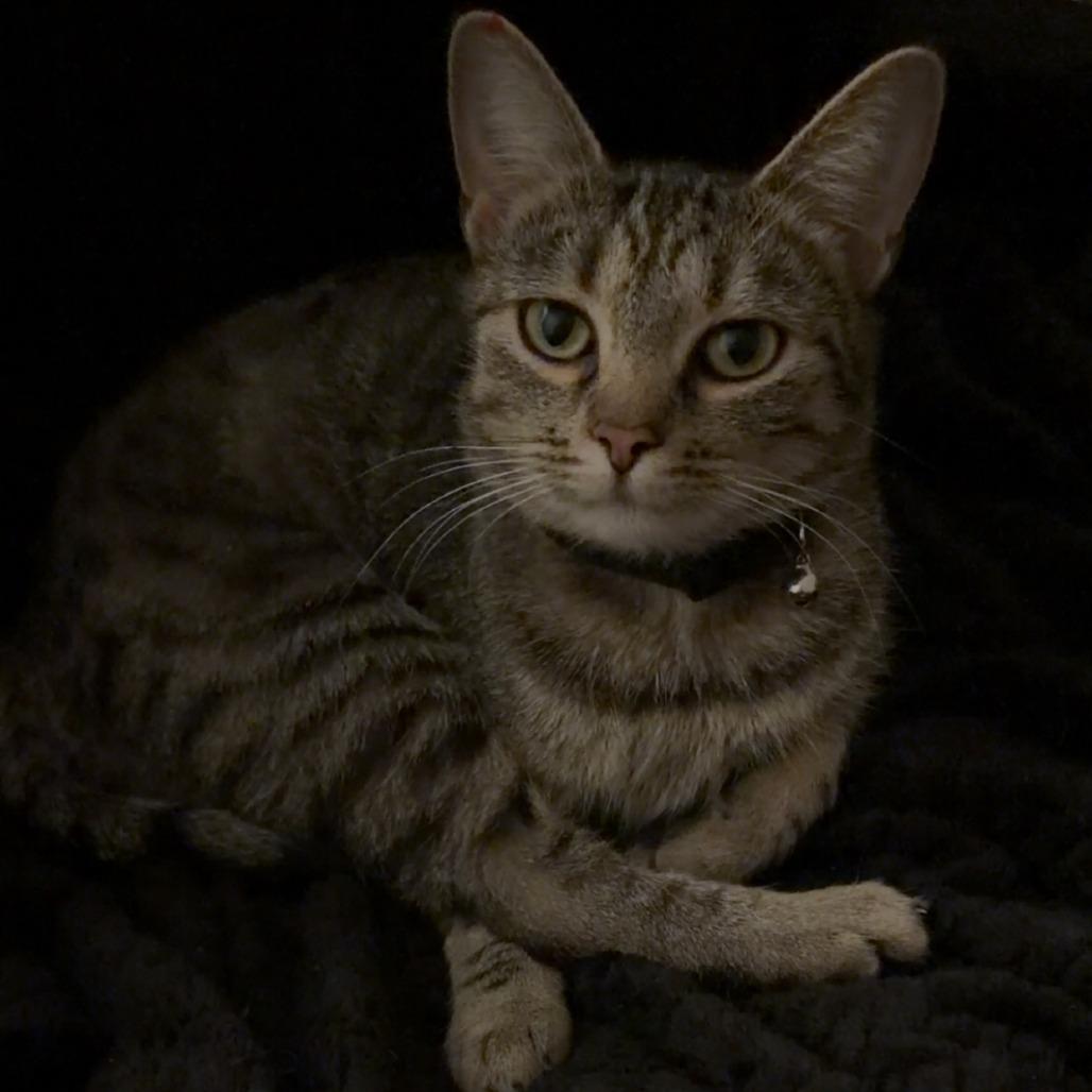 Kyra — thumbnail 2