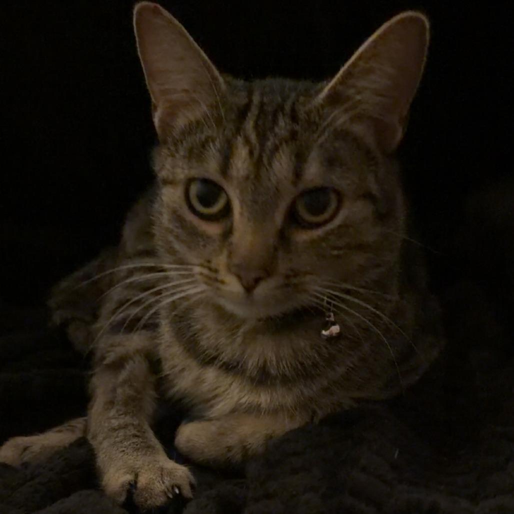 Kyra — thumbnail 4