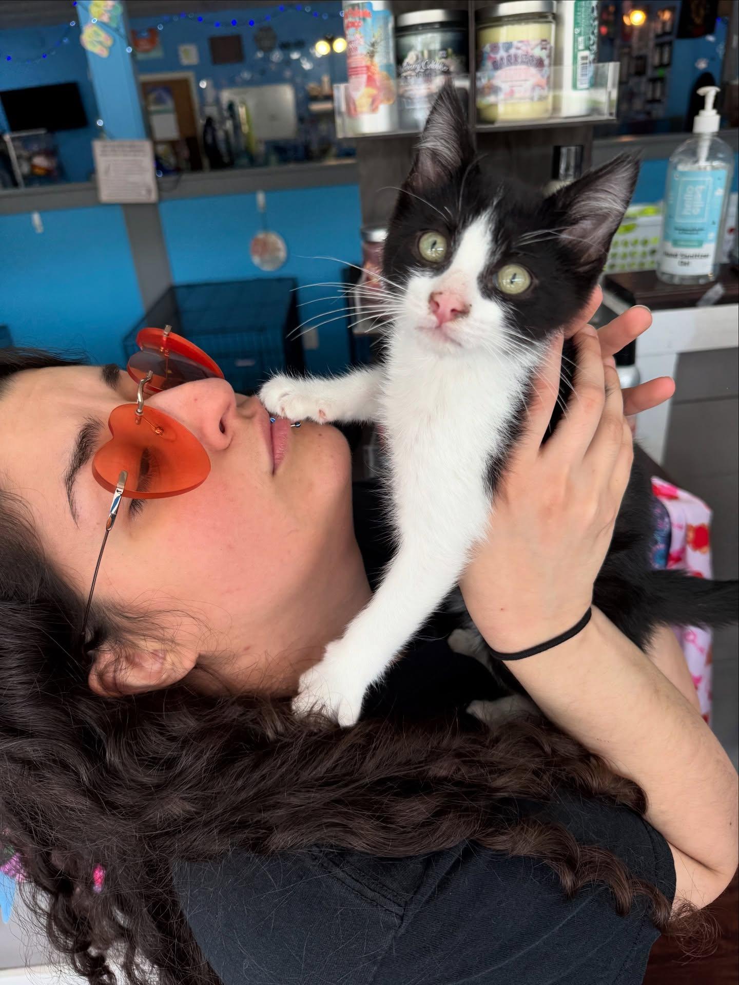 Bonded Pair Munchkin & Tiny