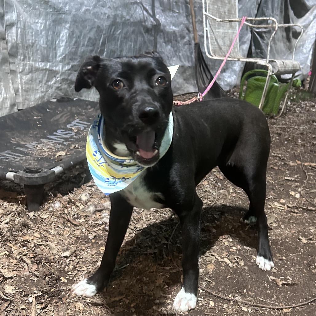 Zest — thumbnail 2