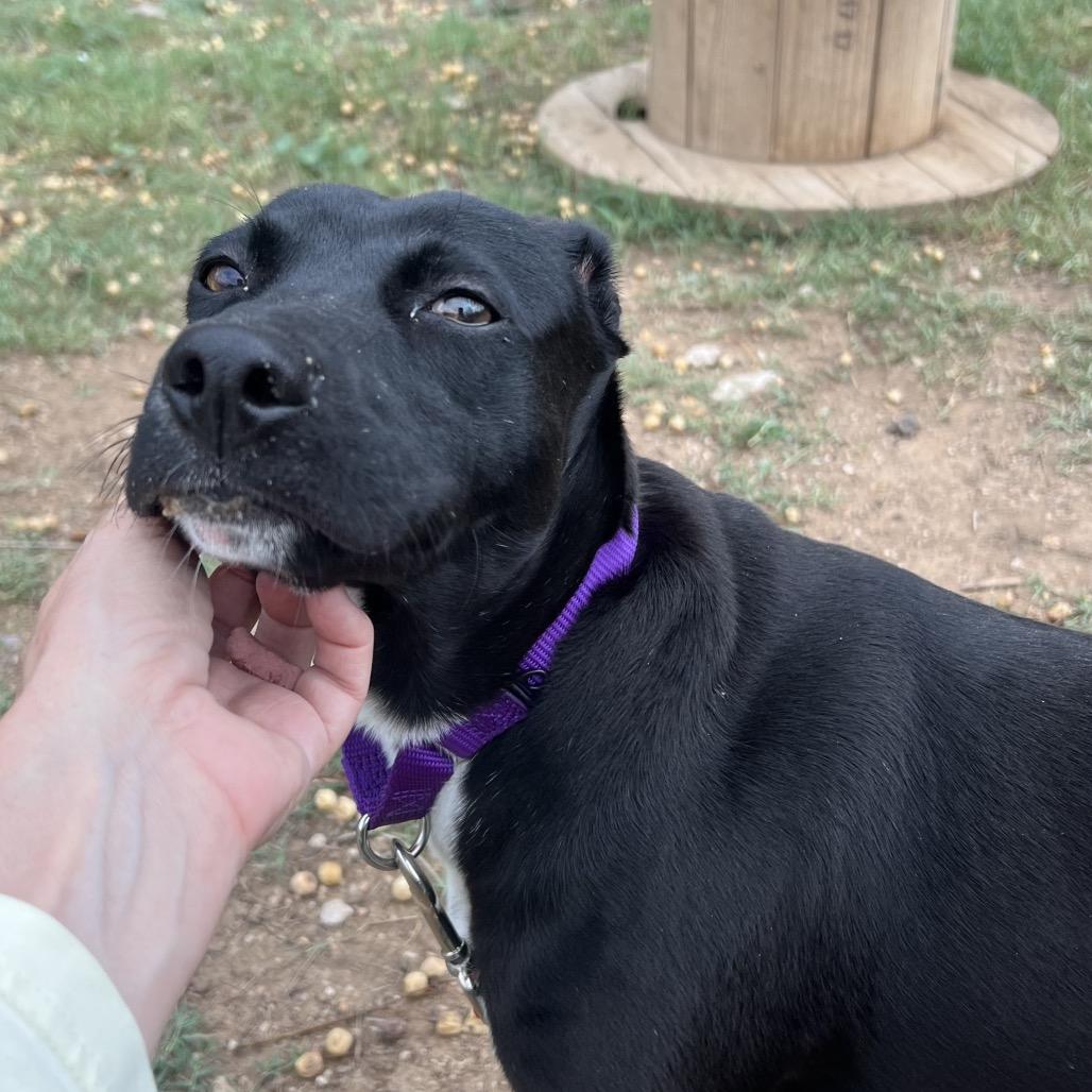 Zest — thumbnail 5