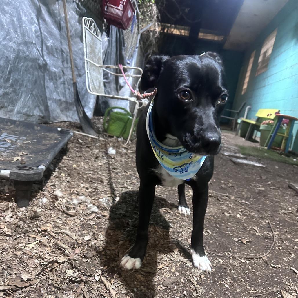 Zest — thumbnail 6