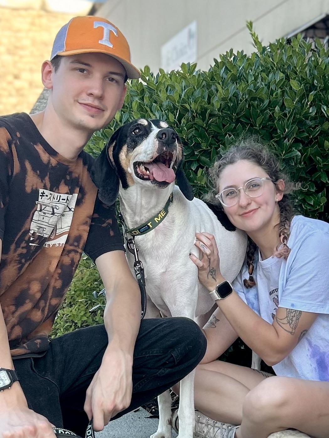 ALICE, a Adoptable Hound in Franklin, KY image 4/5