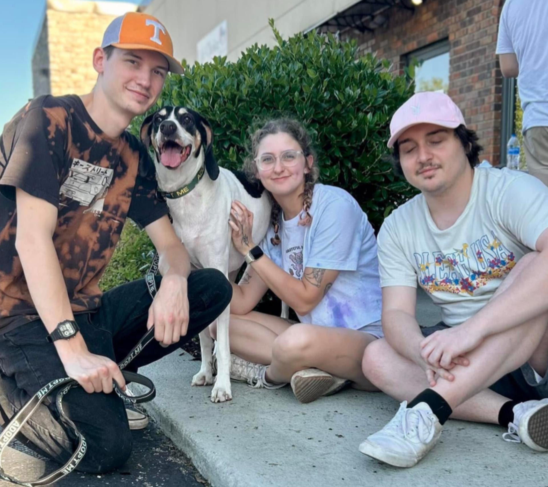 ALICE, a Adoptable Hound in Franklin, KY image 3/5