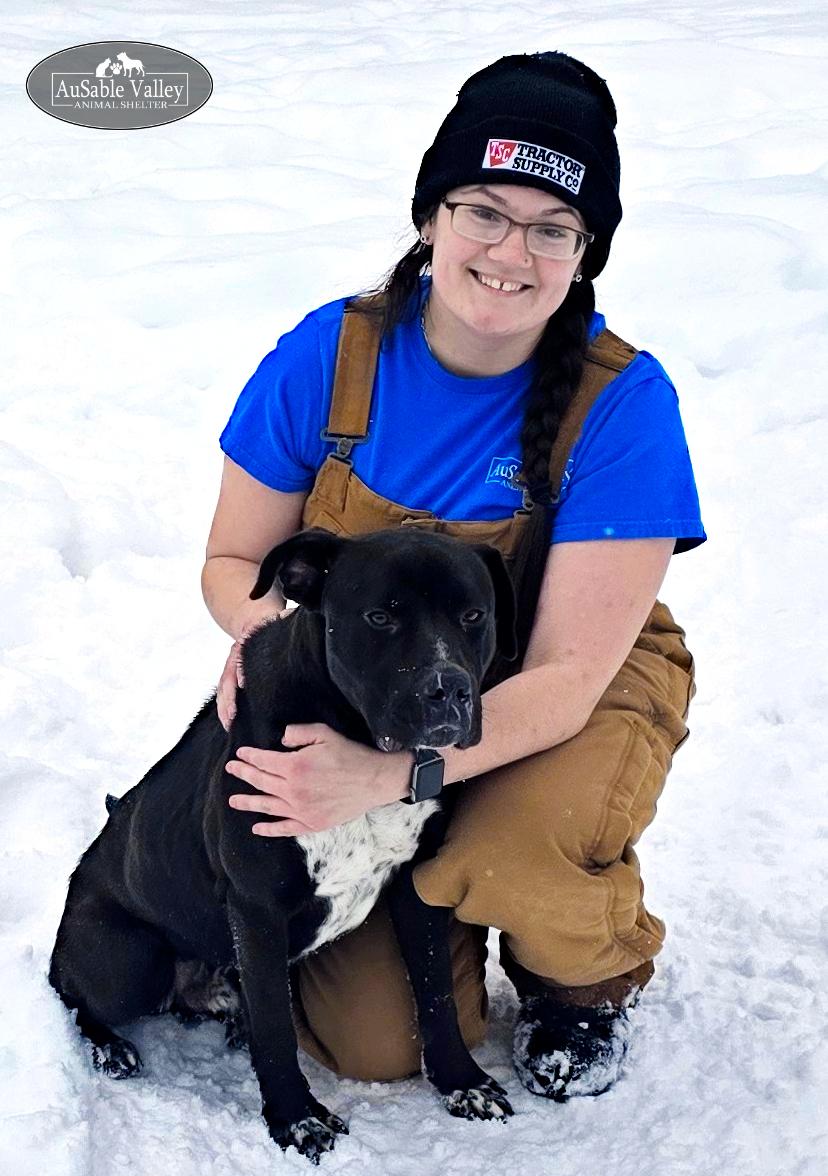 Enlarge Beau, a ADOPTABLE Mixed Breed in Grayling, MI image 4/6